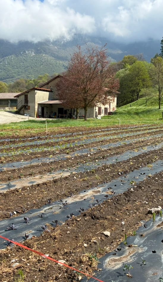 Il nostro orto vicino alla cascina